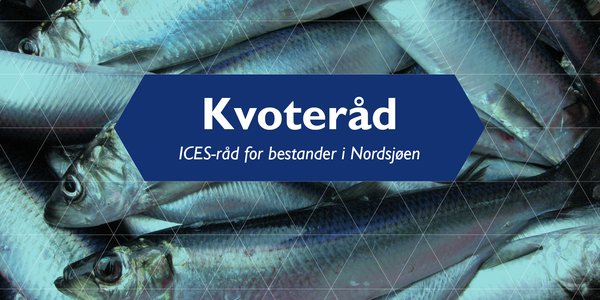 

Illustrasjon ICES-råd for bestander i Nordsjøen