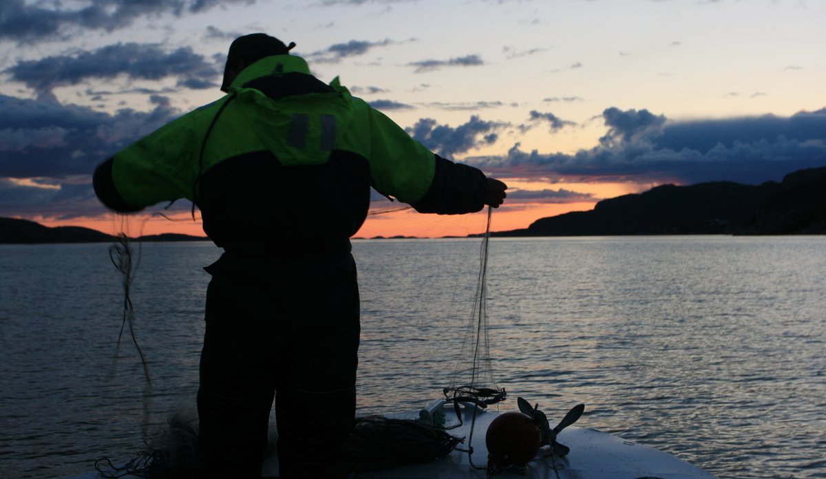 
Mann trekker garn fra lettbåt på fjorden i Skumrunga.