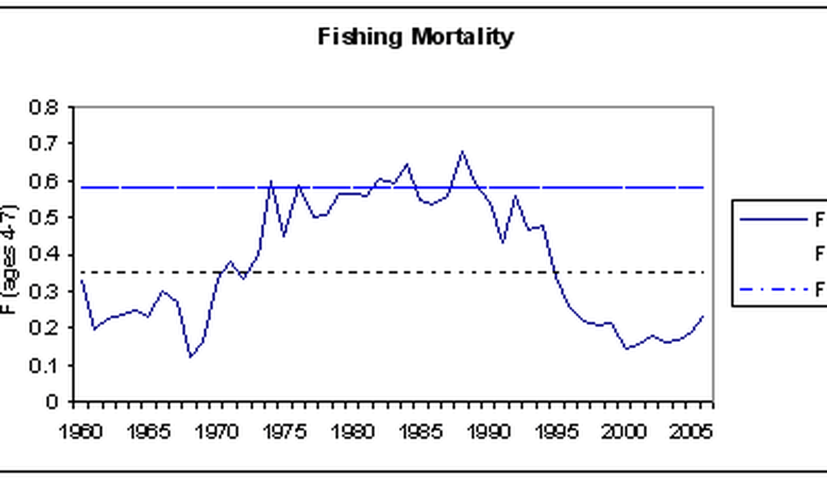 fiskedodelighet sei