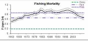 Fiskedødelighet