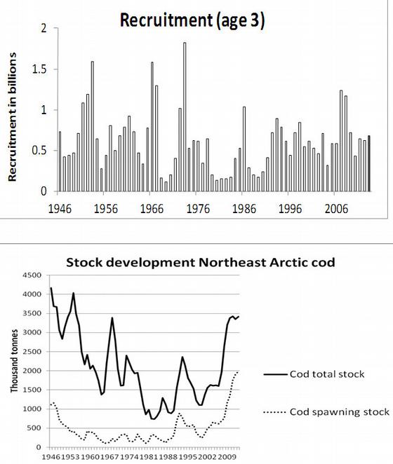 Rekruttering og bestandsutvikling nordøstarktisk torsk 
