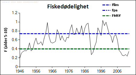 Fiskedødelighet