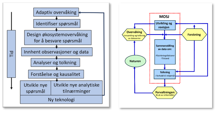 Skjematisk fremstilling av overvåking som en adaptiv prosess, slik presentert i Lindenmayer og Likens (2009, venstre figur) og adaptiv prosess lagt til grunn for MOSJ 