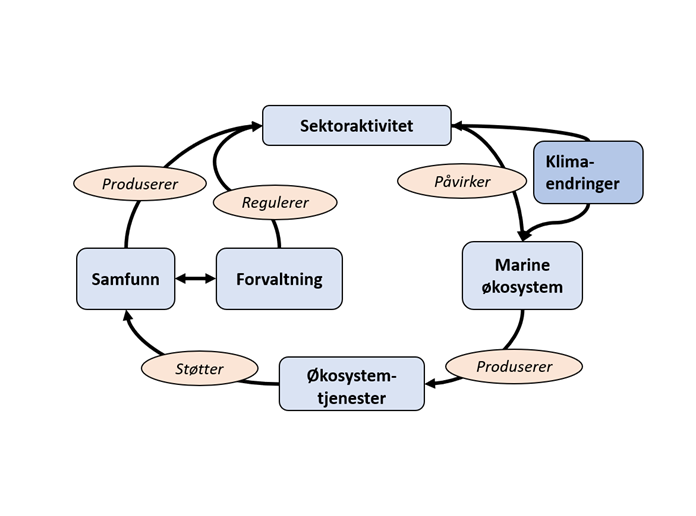 Figur 7.1. En forenklet skisse av et sosio-økologisk system knyttet til marine økosystem.