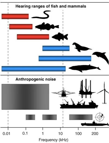 Eksempler på frekvensområder av støy fra menneskelig aktivitet og hvordan dette overlapper med hørsel for ulike typer marine organismer (figur hentet fra Walker mfl. (2019).