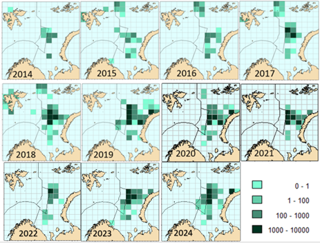 Distribution of annual catches by Russian vessels since 2014 based on logbook information. 2024 includes only data until October.