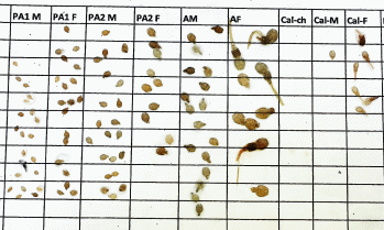 Photo example of a datasheet with mobile lice