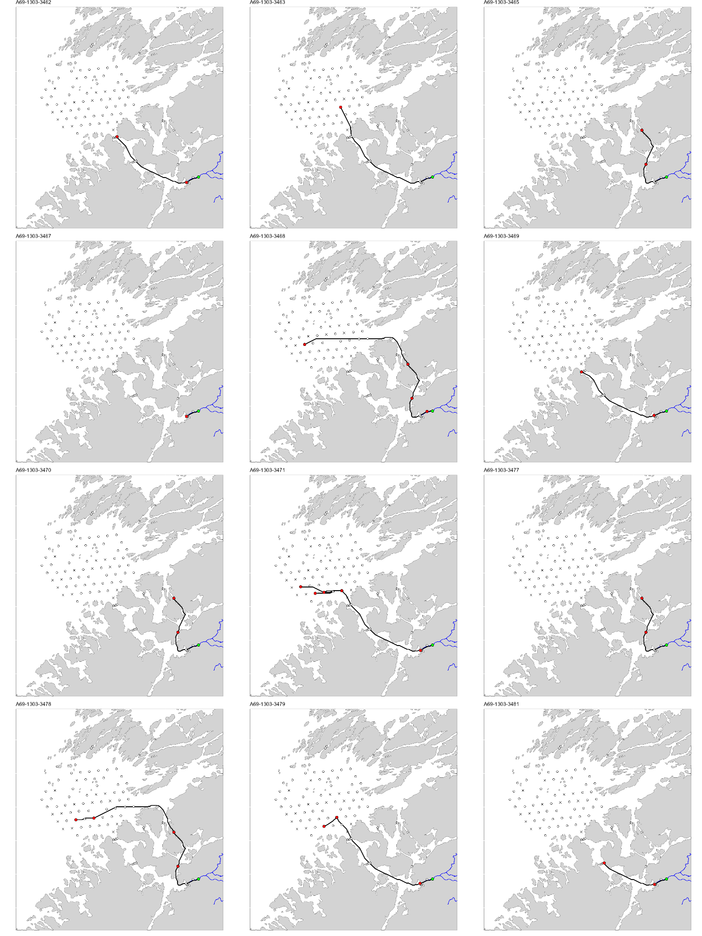 Figur med 12 paneler, der hvert panel viser et kart over studieområdet med en svart linje som viser vandringsruten til en fisk. ID til fisken er gitt øverst på hvert panel.