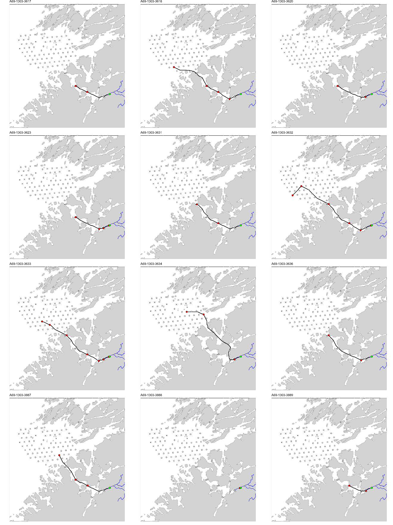 Figur med 12 paneler, der hvert panel viser et kart over studieområdet med en svart linje som viser vandringsruten til en fisk. ID til fisken er gitt øverst på hvert panel.