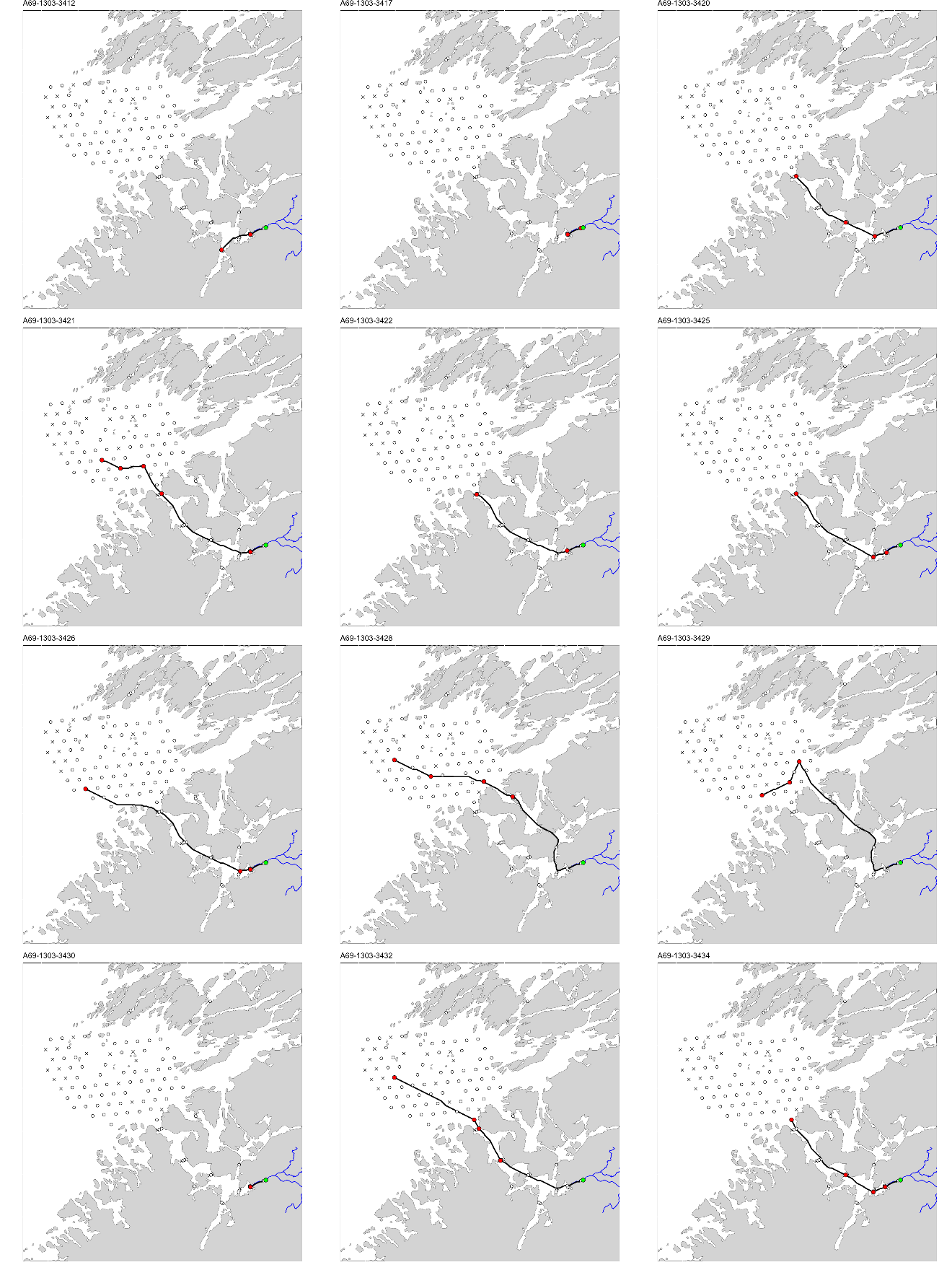 Figur med 12 paneler, der hvert panel viser et kart over studieområdet med en svart linje som viser vandringsruten til en fisk. ID til fisken er gitt øverst på hvert panel.