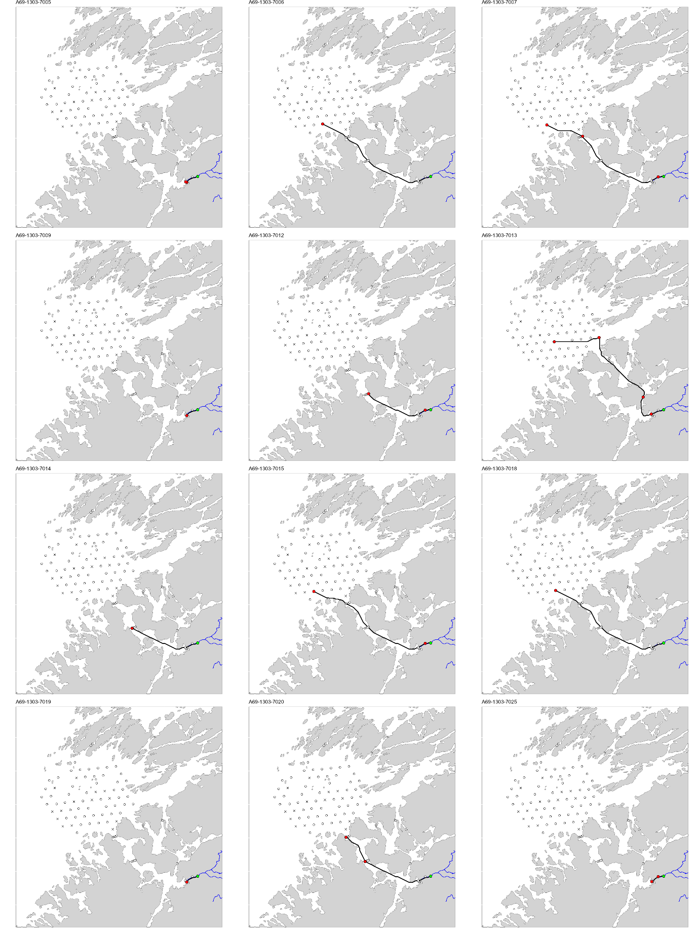 Figur med 12 paneler, der hvert panel viser et kart over studieområdet med en svart linje som viser vandringsruten til en fisk. ID til fisken er gitt øverst på hvert panel.