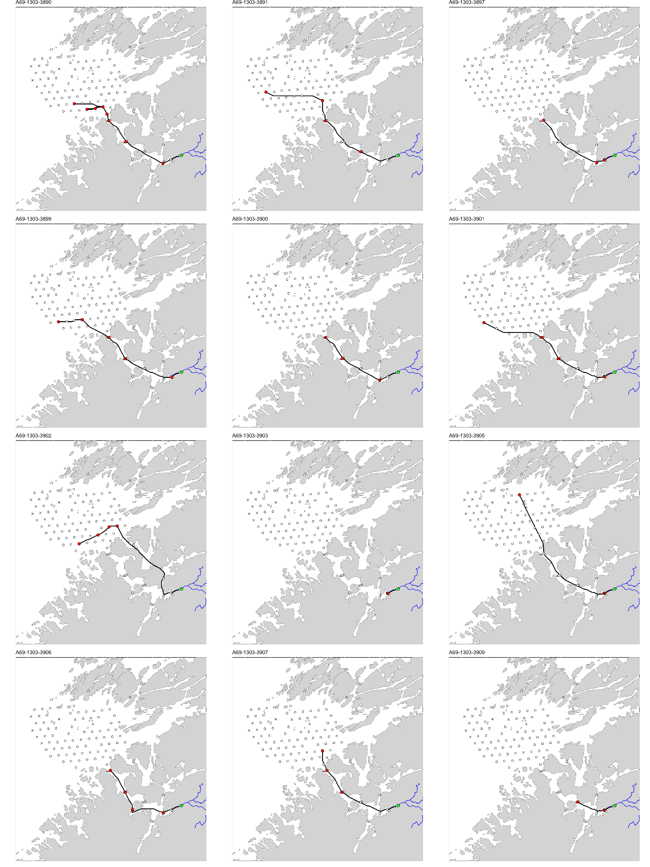 Figur med 12 paneler, der hvert panel viser et kart over studieområdet med en svart linje som viser vandringsruten til en fisk. ID til fisken er gitt øverst på hvert panel.