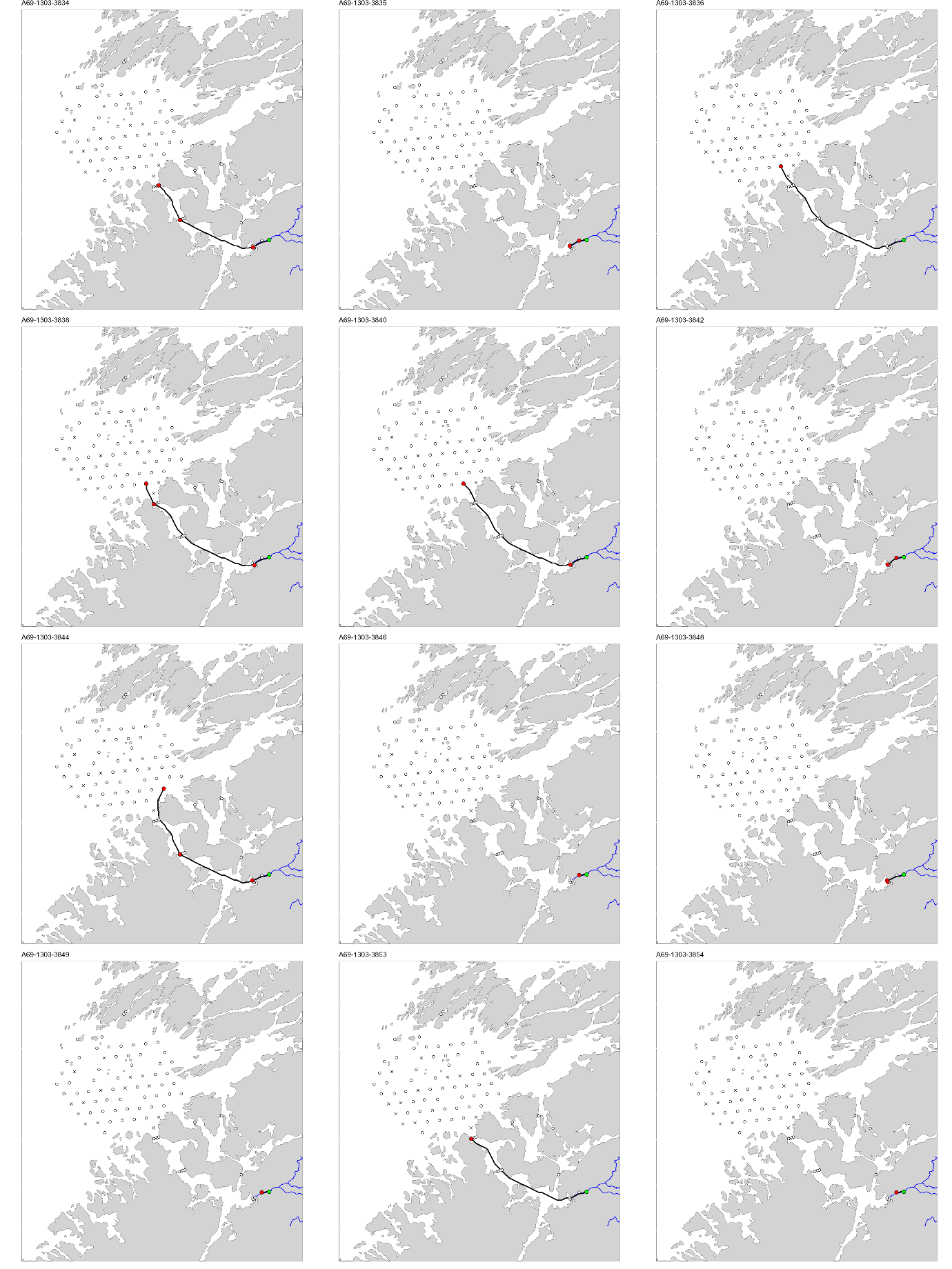 Figur med 12 paneler, der hvert panel viser et kart over studieområdet med en svart linje som viser vandringsruten til en fisk. ID til fisken er gitt øverst på hvert panel.