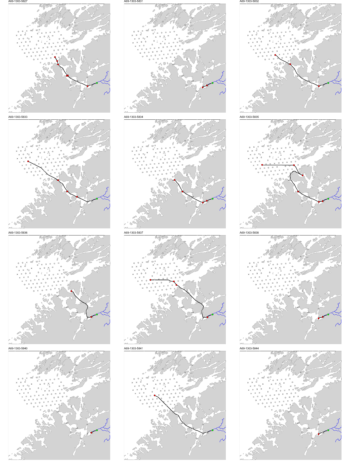 Figur med 12 paneler, der hvert panel viser et kart over studieområdet med en svart linje som viser vandringsruten til en fisk. ID til fisken er gitt øverst på hvert panel.