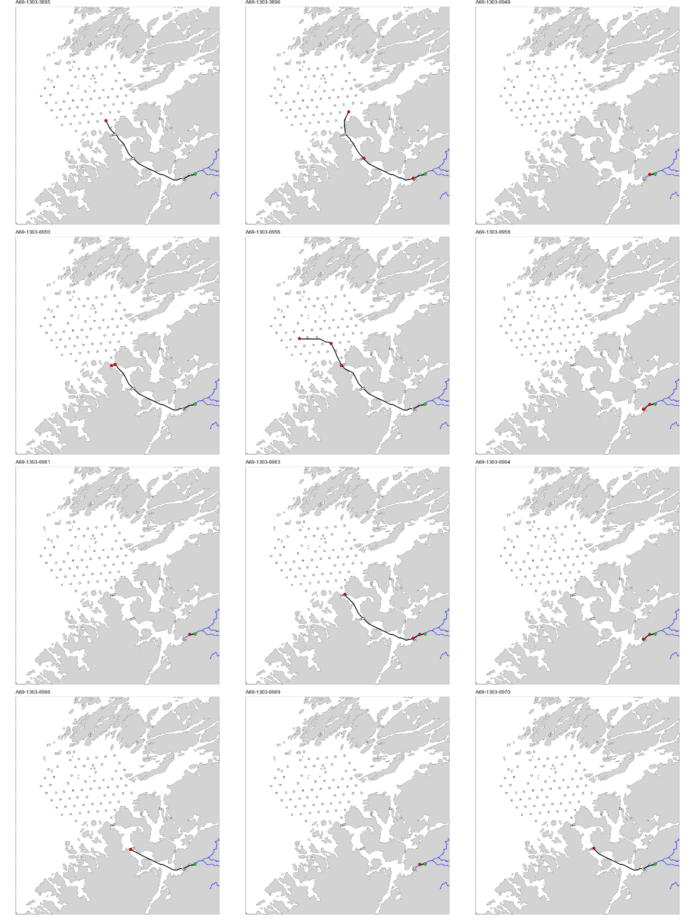 Figur med 12 paneler, der hvert panel viser et kart over studieområdet med en svart linje som viser vandringsruten til en fisk. ID til fisken er gitt øverst på hvert panel.