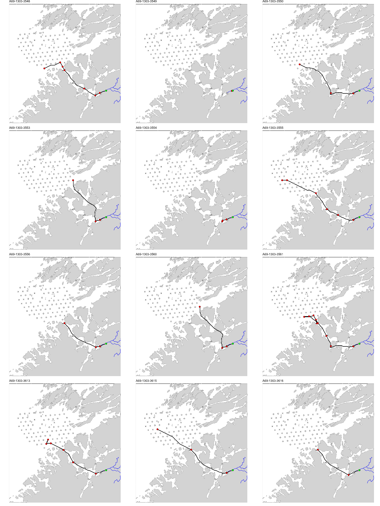 Figur med 12 paneler, der hvert panel viser et kart over studieområdet med en svart linje som viser vandringsruten til en fisk. ID til fisken er gitt øverst på hvert panel.