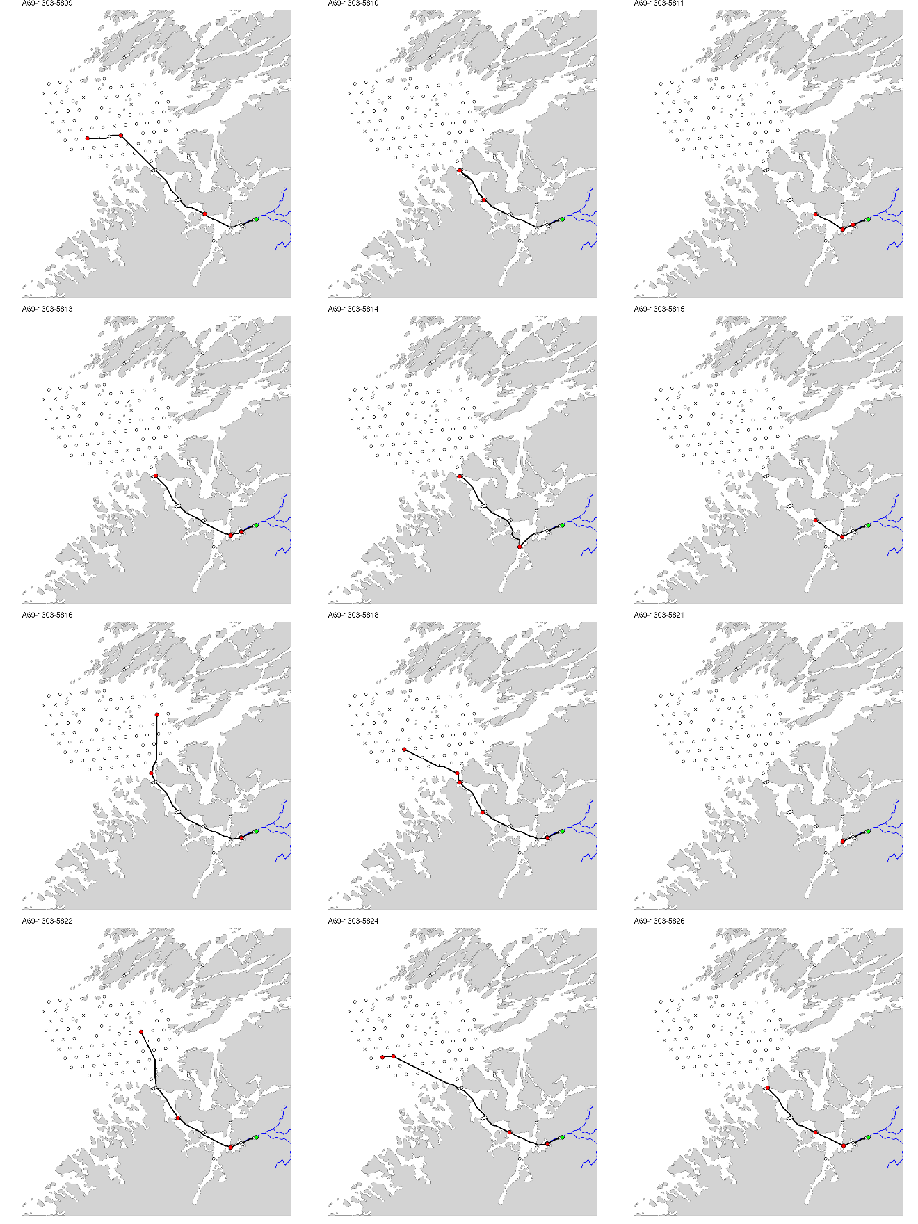 Figur med 12 paneler, der hvert panel viser et kart over studieområdet med en svart linje som viser vandringsruten til en fisk. ID til fisken er gitt øverst på hvert panel.