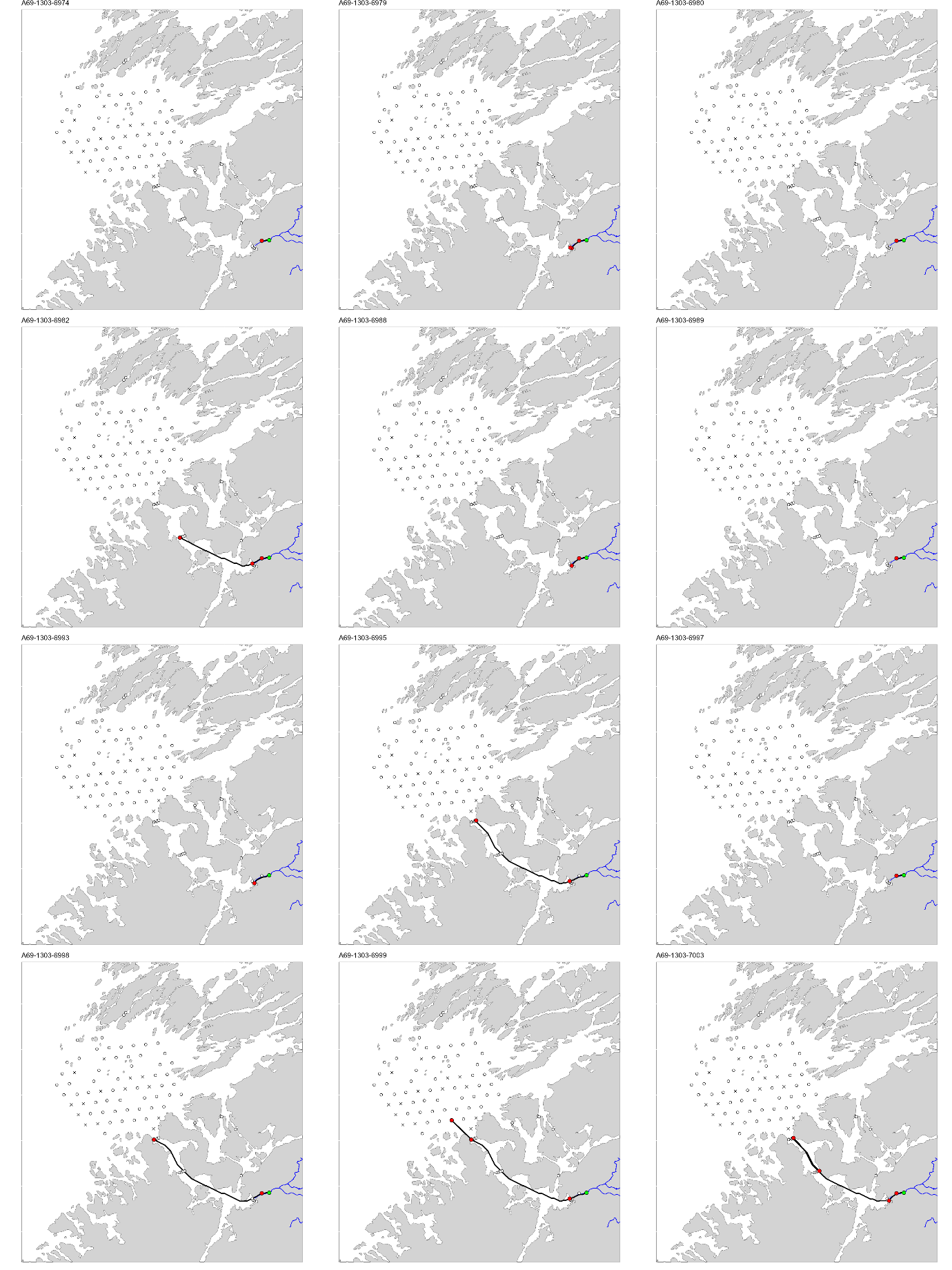 Figur med 12 paneler, der hvert panel viser et kart over studieområdet med en svart linje som viser vandringsruten til en fisk. ID til fisken er gitt øverst på hvert panel.