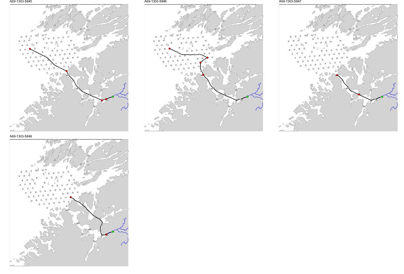 Figur med 4 paneler, der hvert panel viser et kart over studieområdet med en svart linje som viser vandringsruten til en fisk. ID til fisken er gitt øverst på hvert panel.