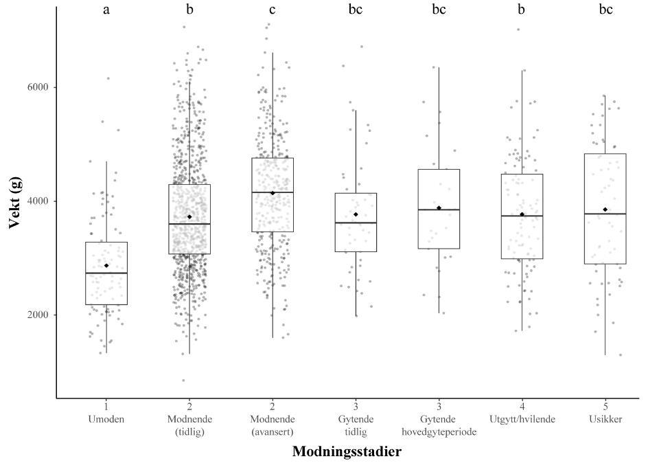 Figuren viser en boksplott-graf som illustrerer vekten til hunntorsk ved ulike modningsstadier.