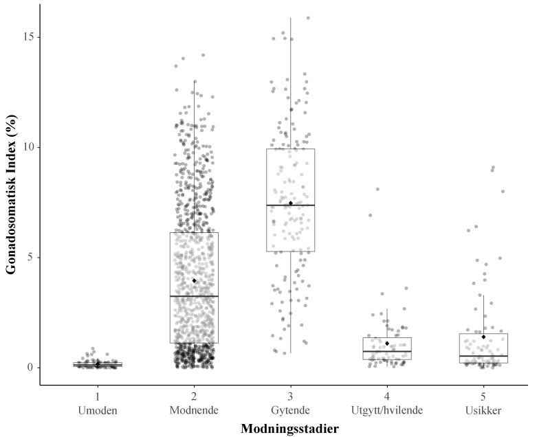 Figuren viser en boksplott-graf som illustrerer gonadosomatisk indeks (GSI) hos hanntorsk ved ulike modningsstadier.