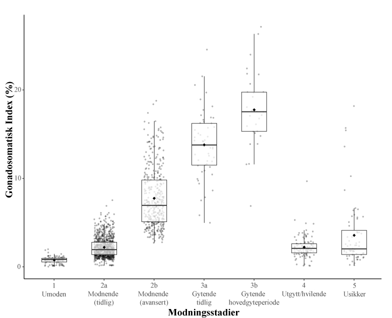 Figuren viser en boksplott-graf som illustrerer gonadosomatisk indeks (GSI) hos hunntorsk ved ulike modningsstadier.