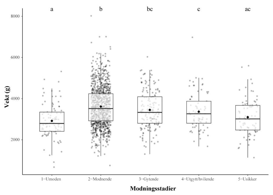 Figuren viser en boksplott-graf som illustrerer vekten til hanntorsk ved ulike modningsstadier.