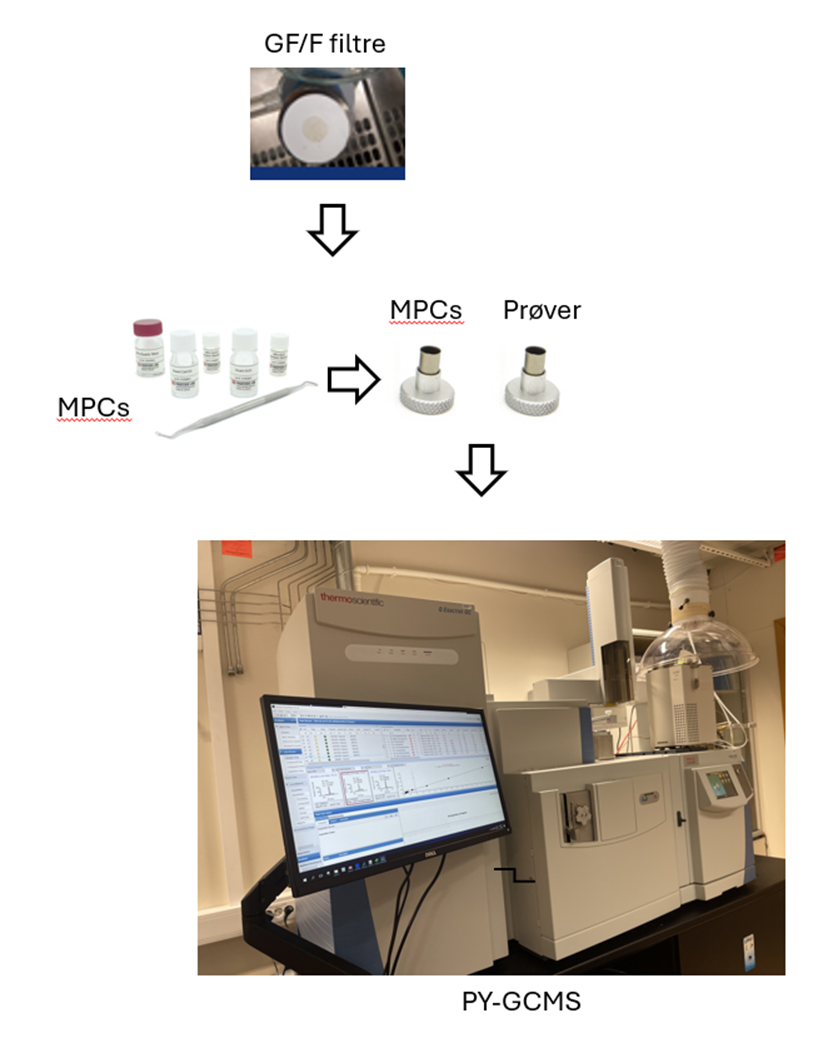 Et diagram som illustrerer forberedelsen av GF/F filtre og overføringen av Micro Plastic Standard (MPCs) og prøver til pyrolysekoppen for videre analyse med PY-GC-MS. 