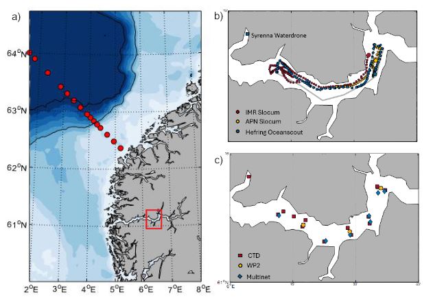 Figure 1. (a) Map of the survey area. The red dots show the Svinøy section while the red square shows the survey area in Sognefjorden. (b) Glider mission (grey line), glider tracks (colored dots) and location of the Syrenna Waterdrone. The starting point of each glider is shown with a larger dot. (c) Location of in situ sampling.