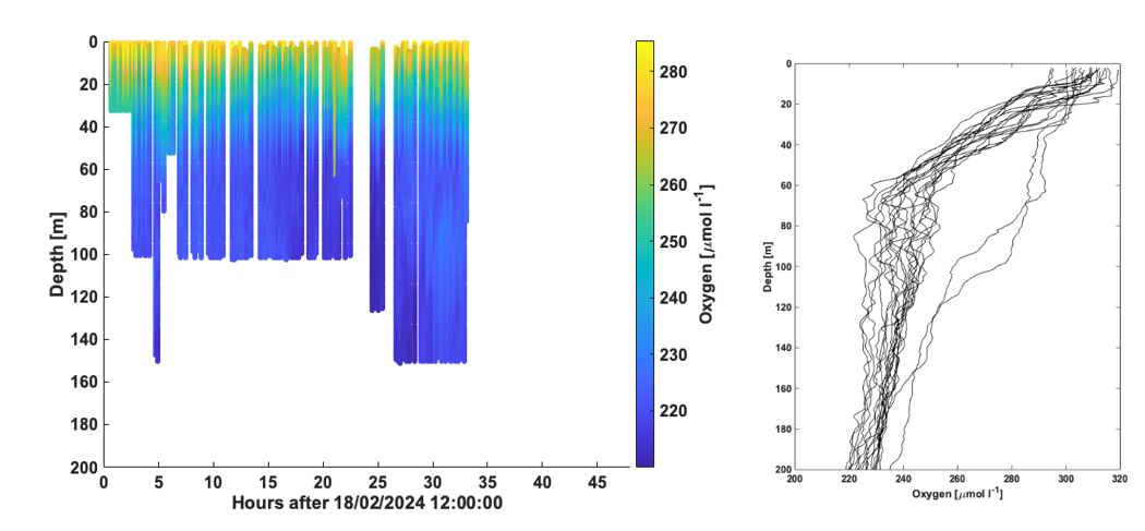 Figure 11. Left panel: Oxygen concentration from the Aanderaa oxygen optode on the APN Slocum glider. Since data was not corrected for sensor lag we have chosen not to grid the data. Right panel: Oxygen concentration from the ship CTD.