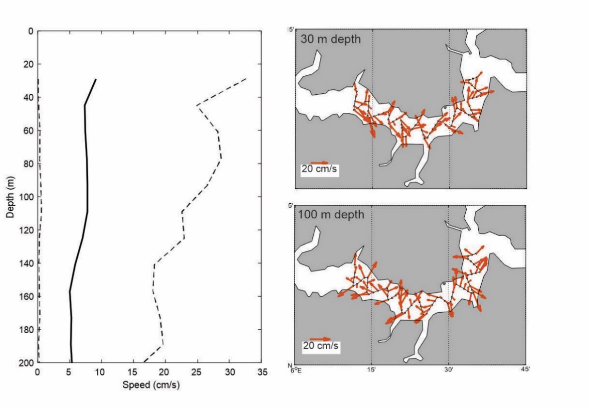 Figure 5. The left panel shows average (thick line) and maximum and minimum (thin, dashed lines) ocean current speed from the vessel-mounted ADCP during the survey. Right panels show instantaneous current speed in 30 m (upper left) and 100 m (lower left) during the acoustic courses at the end of the survey. 