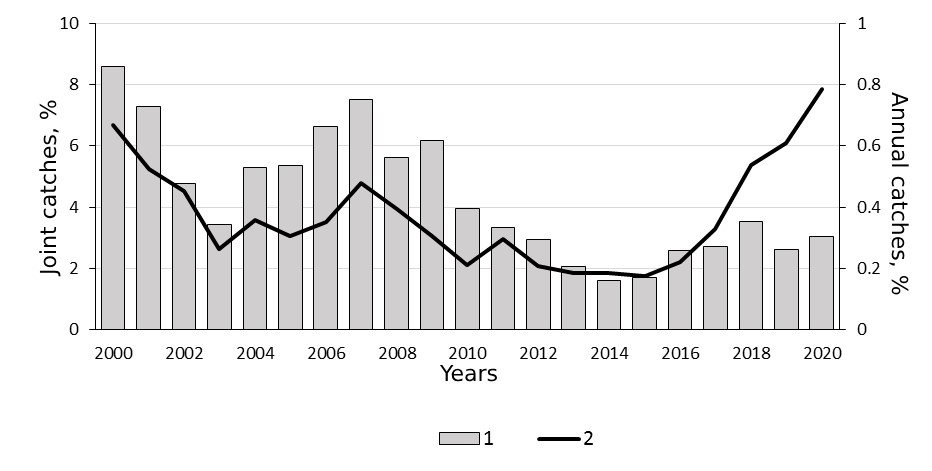 Portion of golden redfish and cod in Russian catches: 1 — in mixed catches of cod and golden redfish, 2 — annual catches of cod in comparison with golden redfish.