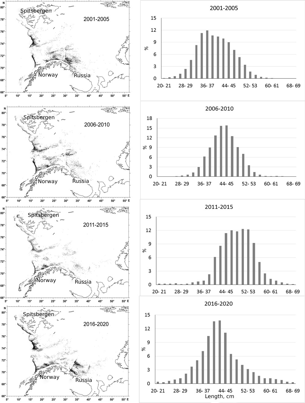 Distribution of golden redfish catches and its length composition in different periods.