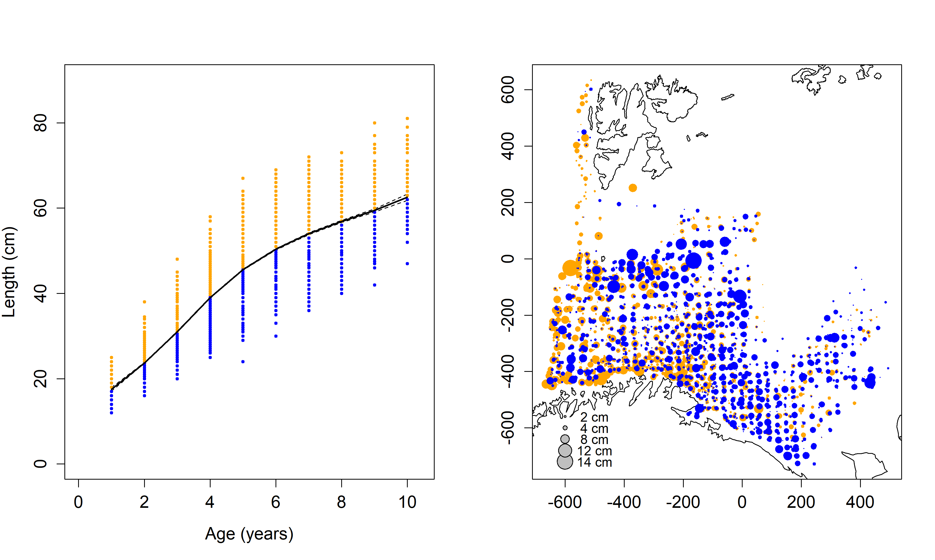 Left: Gam model (Eq. 2) fitted to individual length at age data (dots) from the winter survey, individuals smaller than predicted from the growth curve is shown in blue, and larger individuals are shown in orange. Right: map of residuals of all ages from eq.2, negative residuals shown in blue, positive residuals shown in orange.