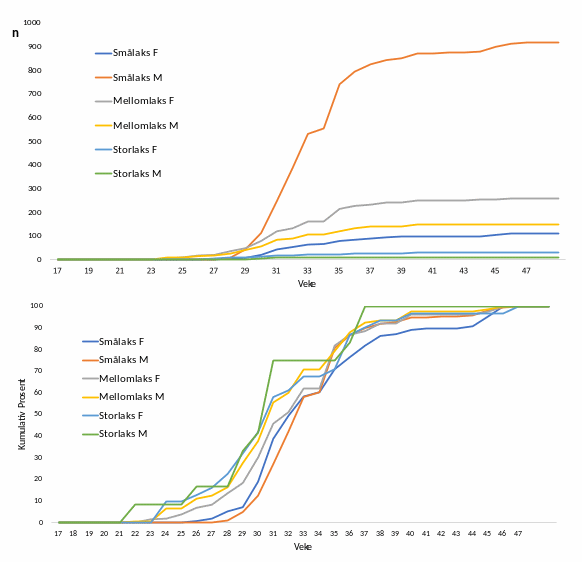 Figur 4, øvst: Kumulativ oppvandring av villaks i 2024 fordelt på kjønn og storleiksgrupper (F=Hofisk, M=Hannfisk), absolutt tal (øvst) og prosentvis (nedst). Cumulative upstream migration of wild salmon by sex and size-group (F=female, M=Male), absolute numbers (upper) and in percent (lower).