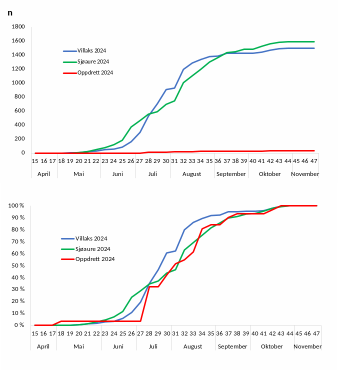 Figur 3. Kumulativ oppvandring av vill og rømt laks og sjøaure per veke i fella 2024, absolutt tal (øvst) og prosentvis (nedst). Cumulative upstream migration of escaped and wild salmon, and sea trout captured in the fish trap per week in 2024.