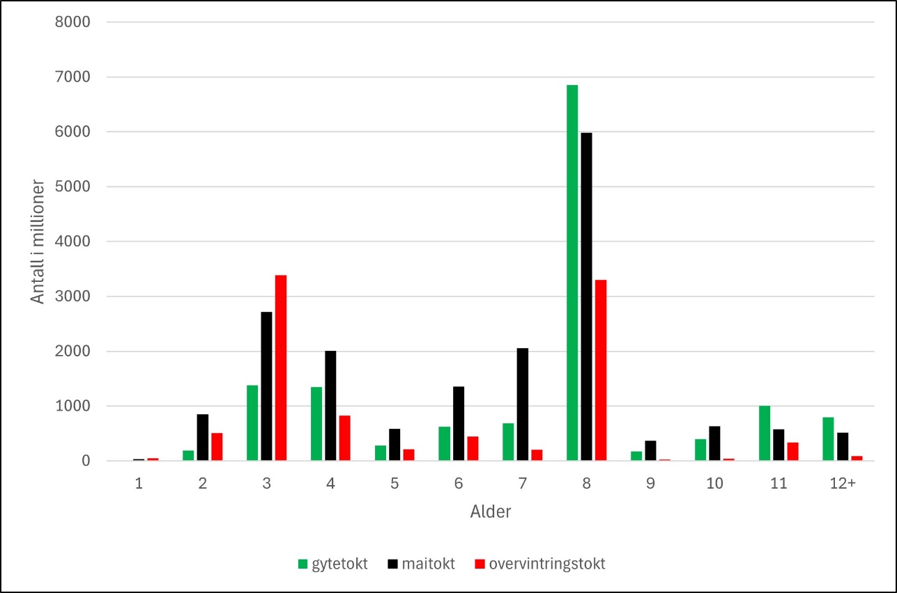 Estimert antall sild fra tre tokt i 2024: overvintringstoktet, maitoktet og overvintringstoktet.