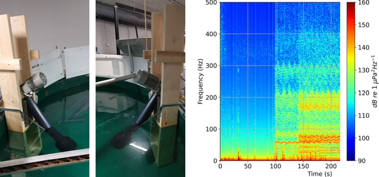 Bilder som viser lydmaskiner satt sammen av en elektromotor og et stempel i et rør hegt opp på siden i kar med laks. Figur viser fargeplott av lydnivå som ble målt i kar