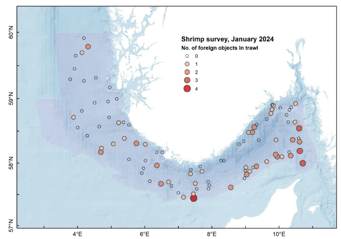 Kartet over forekomst og mengde søppel registrert i trål fra rekebestandsovervåkingen gjennomført i 2024.