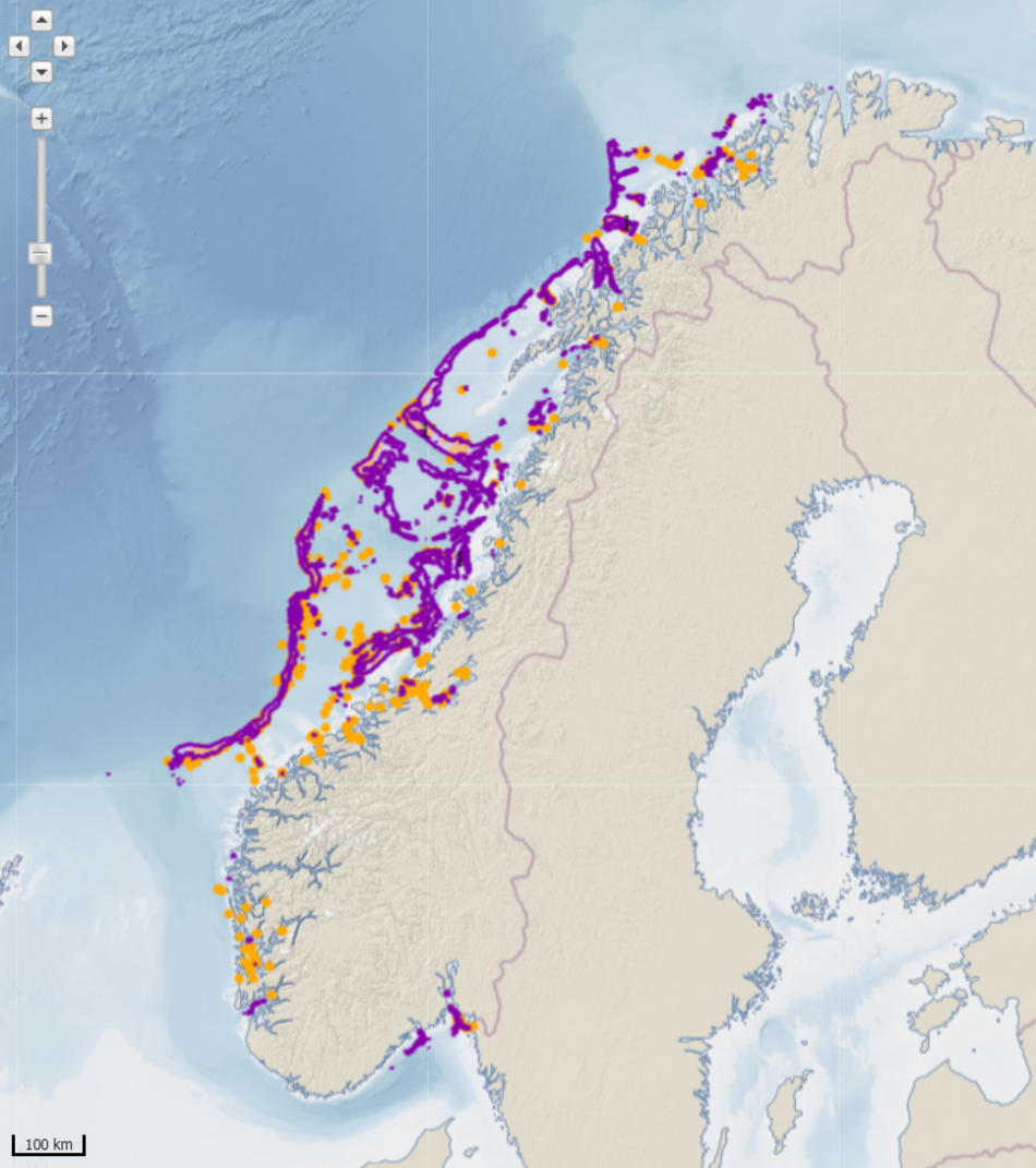 Kart som viser eksempel på sårbare områder som korallrev i norske havområder. Oransje sirkler: Observerte korallrev. Lilla områder: Områder modellert til å kunne ha korallrev.