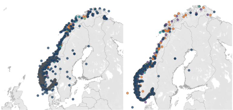 Kart som viser fordeling av innmeldte tapte redskaper fra fritidsfiskere fra 2013-2024 (venstre). Fordeling av innmeldte funn av tapte redskaper fra 2013-2024 (høyre).