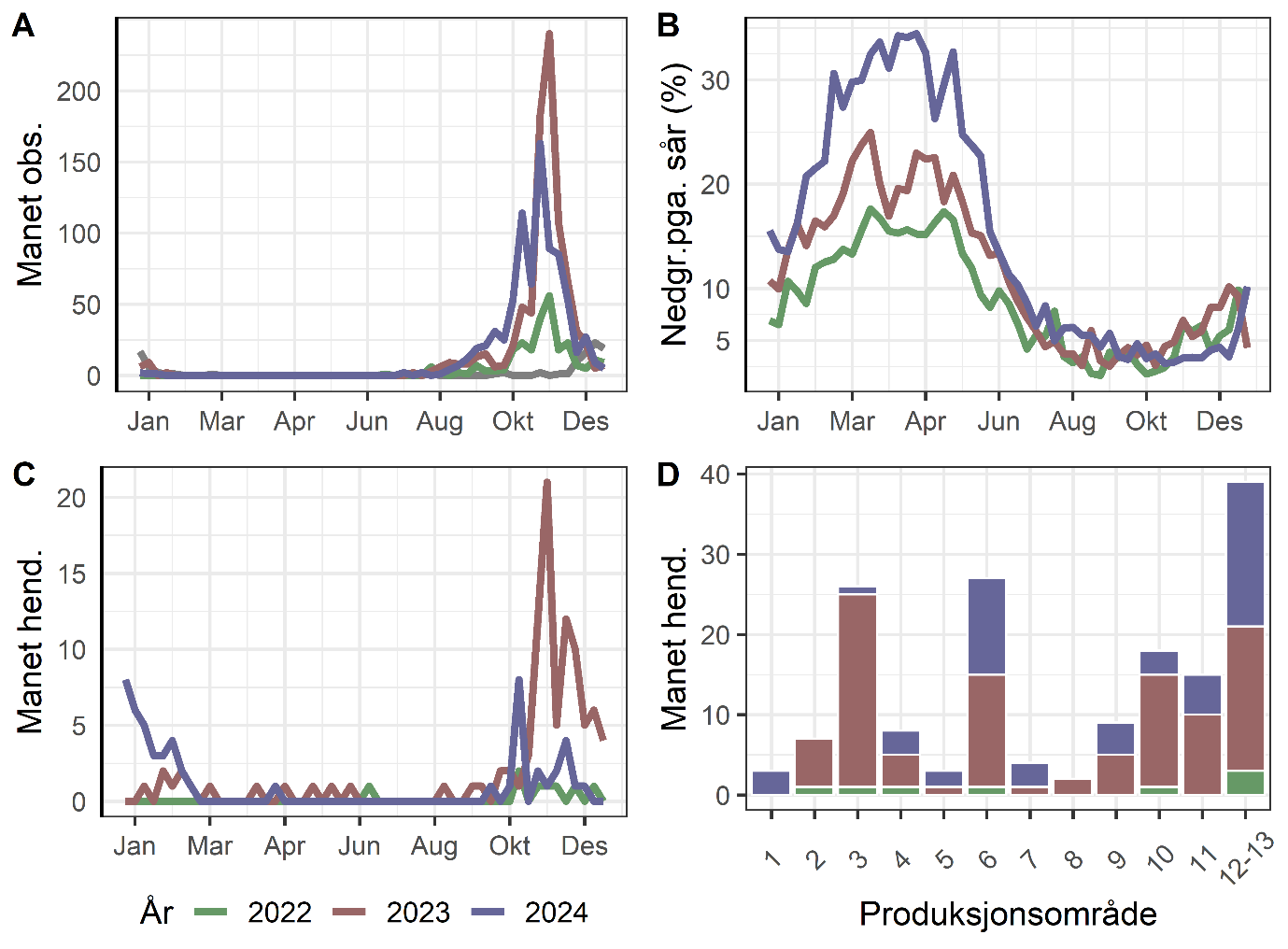 Figuren består av fire diagram, der fargene er følgende: grønn = data fra 2022, rød = data fra 2023, blå = data fra 2024. Diagram A øverst til venstre «Observasjoner av perlesnormaneter (Apolemia sp.) rapportert til Dugnad for havet» er et linjediagram med måneder langs X-aksen (annenhver måned er listet). Y-aksen er antall maneter observert, med skala fra 0 til 250. Diagram B øverst til høyre «Prosentandel av slaktet laks per uke som ble nedgradert til produksjon eller utkast på grunn av sår» er et linjediagram med måneder langs X-aksen (annenhver måned er listet). Y-aksen er % nedgradert pga. sår, med skala fra 0 til 35 %. Diagram C nederst til venstre «Månedlig antall velferdsmessige hendelser knyttet til manetangrep rapportert til Mattilsynet» er et linjediagram med måneder langs X-aksen (annenhver måned er listet). Y-aksen er antall manetrelaterte hendelser, med skala fra 0 til 23. Diagram D nederst til høyre «Antall velferdsmessige hendelser rapportert til Mattilsynet knyttet til manetangrep per produksjonsområde» er et stablet stolpediagram med produksjonsområdene 1 til 13 langs X-aksen, felles akse for 12 og 13. Y-aksen er antall manetrelaterte hendelser, med skala fra 0 til 40.