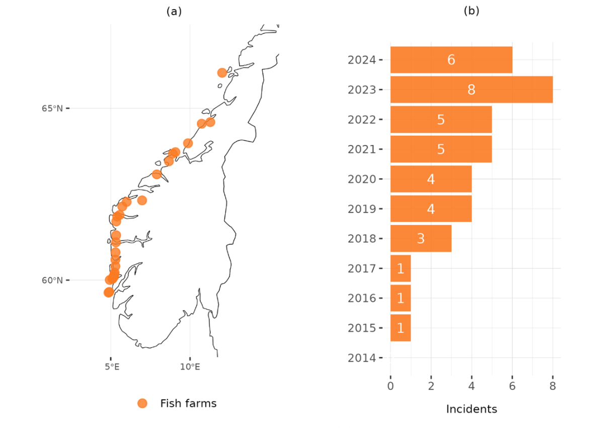 (b) Number of incidents of ABFT being caught in fish farms reported per year. The number of incidents has been increasing every year since 2017, with 2023 and 2024 being the years with the most reported occurrences on record.