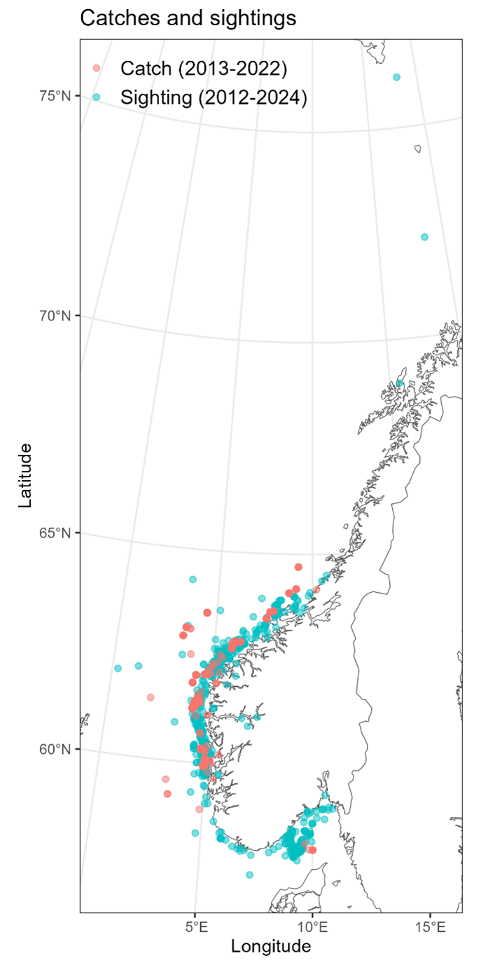 Figure 2: Map showing overall distribution of commercial catches and sightings of Atlantic bluefin tuna (ABFT) stretching from <58°N to >76°N within Norwegian territorial waters after the comeback from 2012 to 2024.