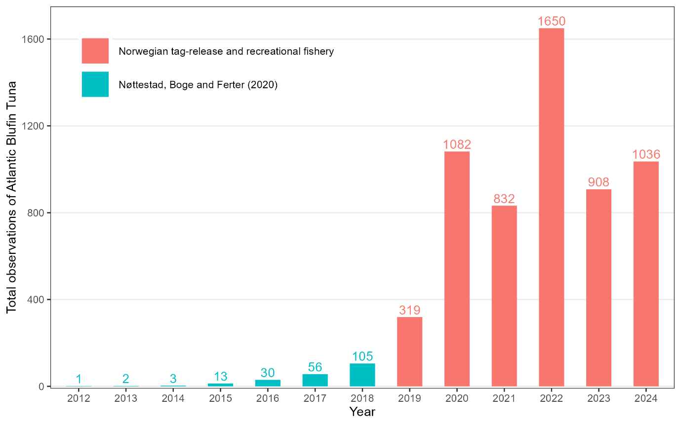 Figure 1: A substantial development in total observations of ABFT in Norwegian Exclusive Economic Zone (EEZ) from 2012 to 2024. Data from 2012-2018 are reproduced from Nøttestad et al. (2020), whereas data from 2019 to 2024 are obtained from the Norwegian tag-release and recreational fishery on ABFT (Boge et al. in prep).