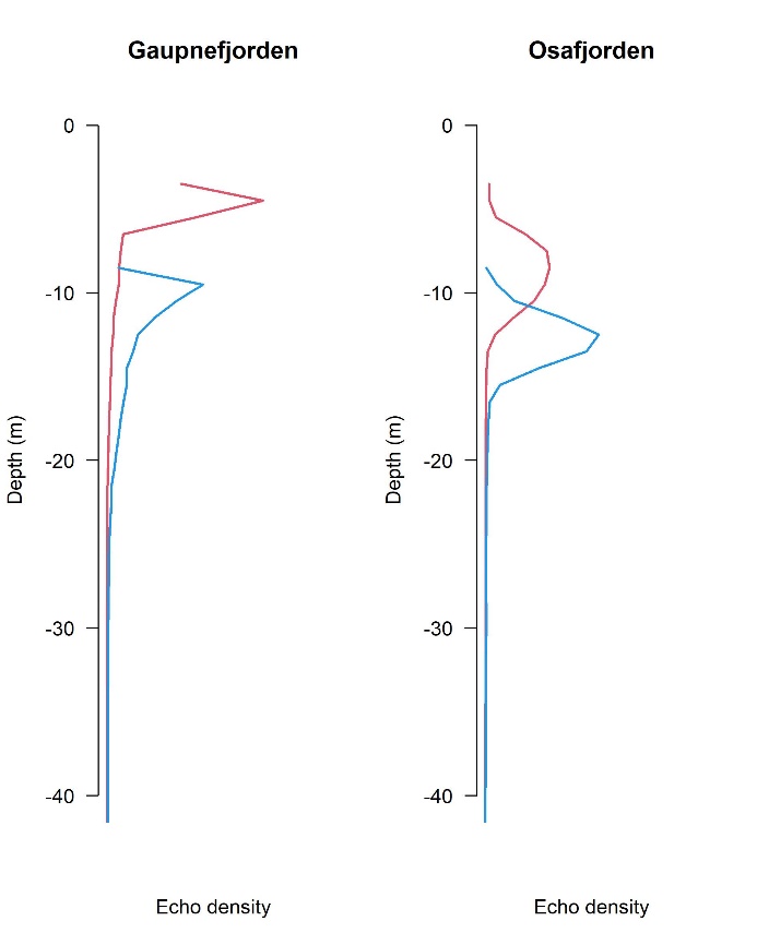 Figure 5 Vertical depth distribution of acoustic density of sprat measured at night by the Kayak Drone (red line) and Kristine Bonnevie (blue line).