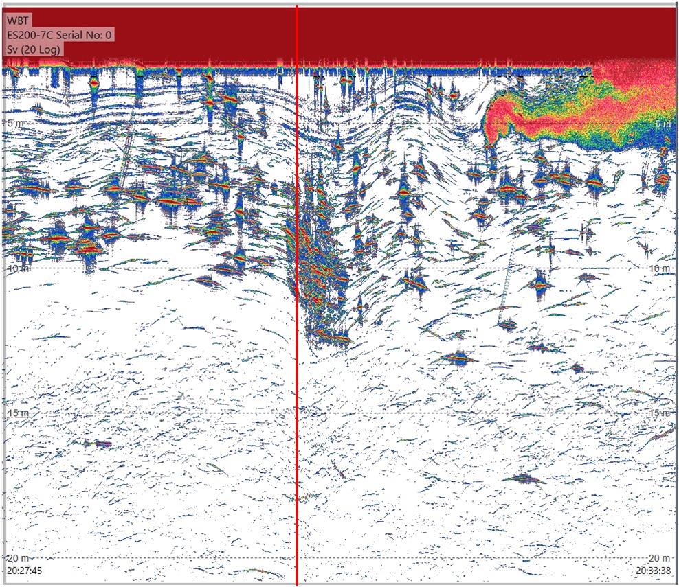 Figure A2.1 EK80 200 kHz recordings from the Kayak Drone as RV Kristine Bonnevie passes close by during passing 2.