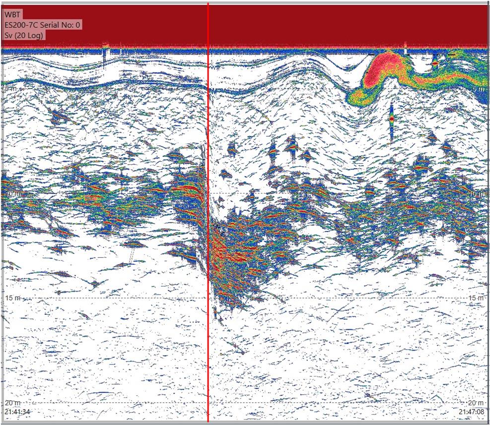 Figure A2.5 EK80 200 kHz recordings from the Kayak Drone as RV Kristine Bonnevie passes close by during passing 6.