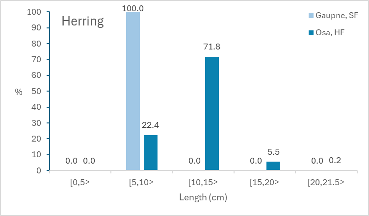 Figure 9 Length distribution of herring grouped in 5 cm intervals by strata based on the trawl stations. Årdal is not included in this figure as only one herring (13.5 cm) was observed.