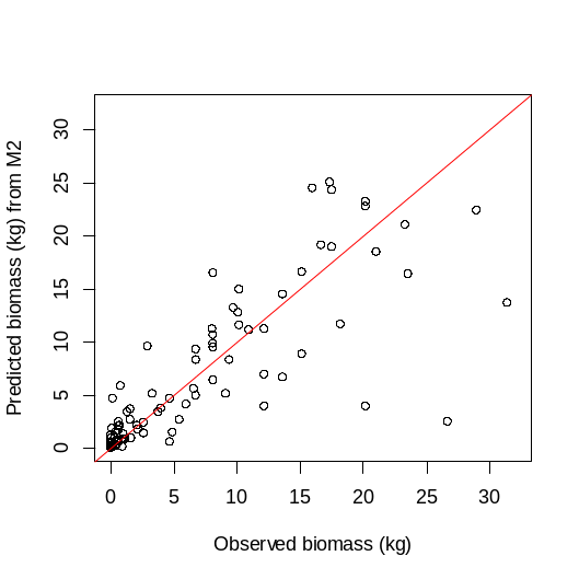 Figur 24. Sammenhengen mellom predikert (den røde linjen, x-aksen) og observert biomasse av stortare (kg, sorte prikker) der Pearson correlation = 85,6 %.